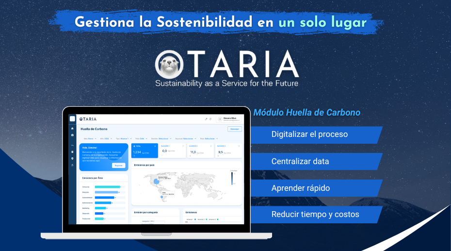 Otaria: la startup chilena que facilita los primeros pasos hacia ...